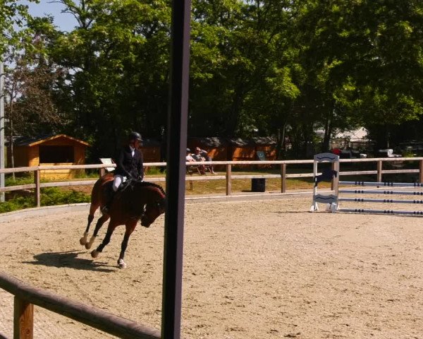 Reitturnier Ruhlsdorf 2023