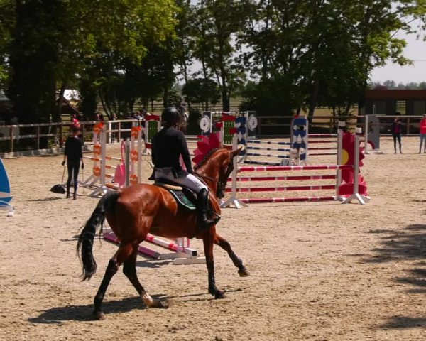 Reitturnier Ruhlsdorf 2023