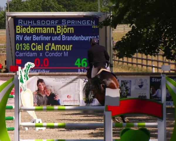 Reitturnier Ruhlsdorf 2023