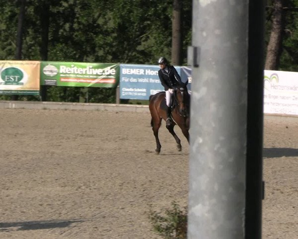 Reitturnier Erkrath - Uhlenhof 2023