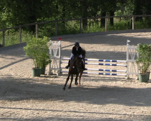 Reitturnier Erkrath - Uhlenhof 2023