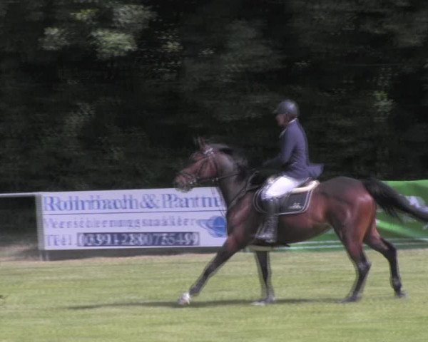 Reitturnier Königsborn 2023