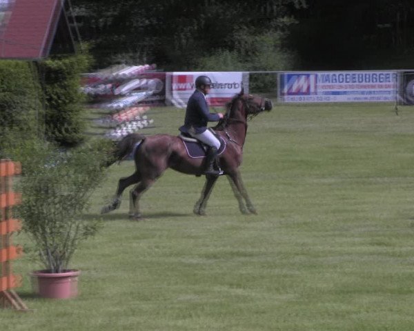 Reitturnier Königsborn 2023