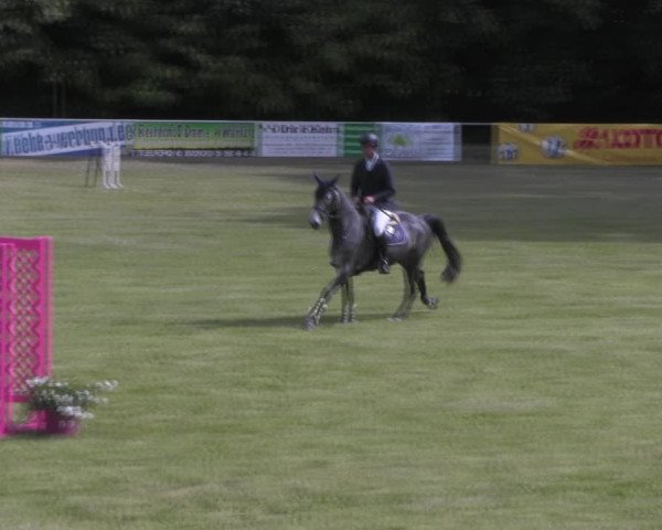 Reitturnier Königsborn 2023