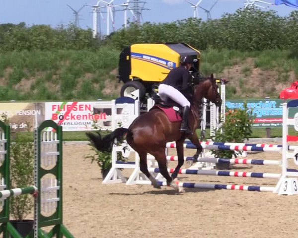 Reitturnier Niebüll 2023