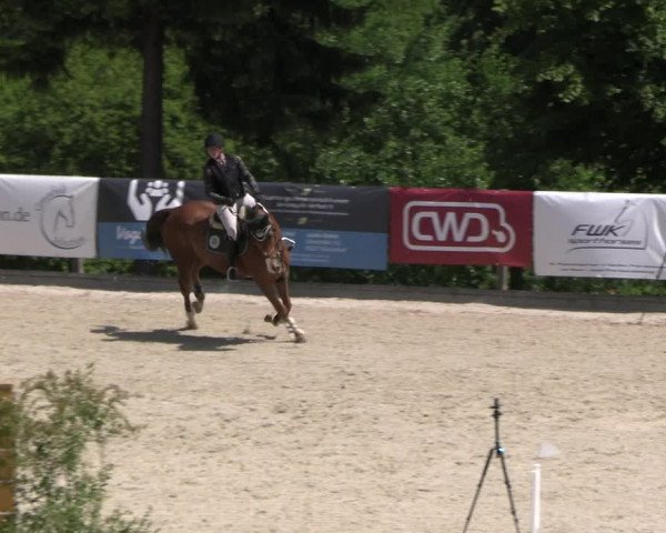 Reitturnier Erkrath - Uhlenhof 2023