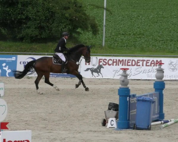 Reitturnier Harsum-Hüddessum 2023