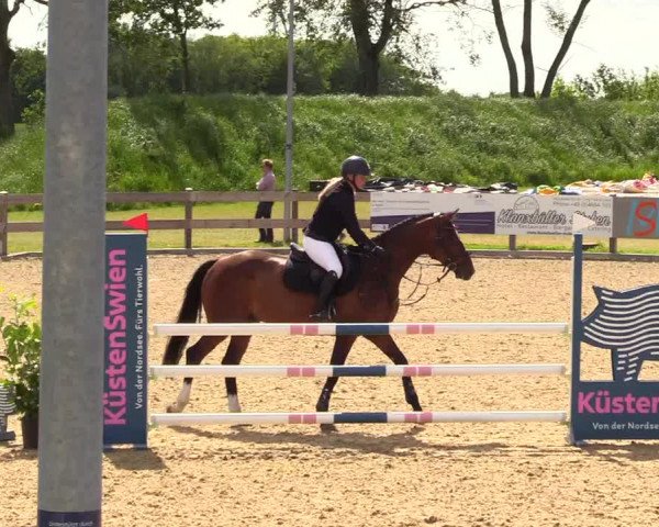 Reitturnier Niebüll 2023