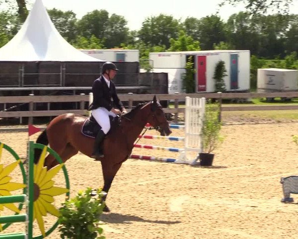 Reitturnier Niebüll 2023