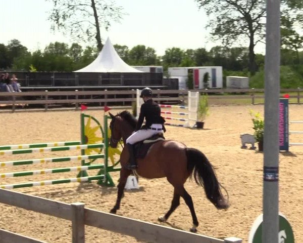 Reitturnier Niebüll 2023