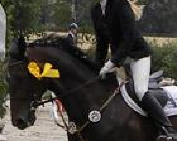 Canan-Johanna Breforth