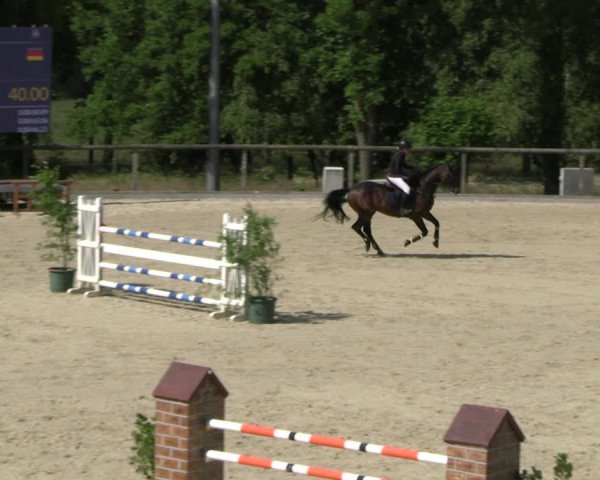 Reitturnier Erkrath - Uhlenhof 2023