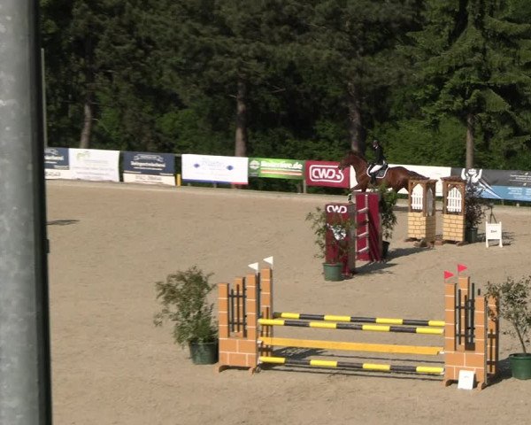 Reitturnier Erkrath - Uhlenhof 2023