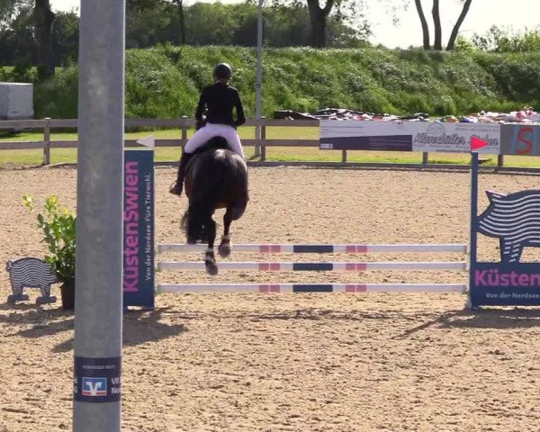 Reitturnier Niebüll 2023