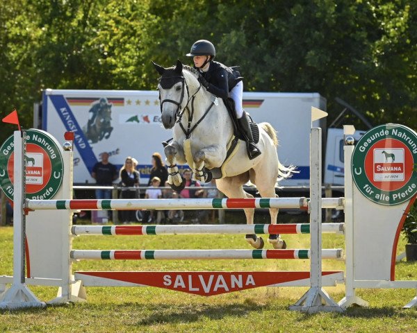 jumper Litonya (German Sport Horse, 2013, from Levistano)