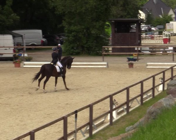 Reitturnier Letmathe 2023