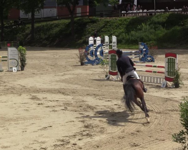 Reitturnier Letmathe 2023