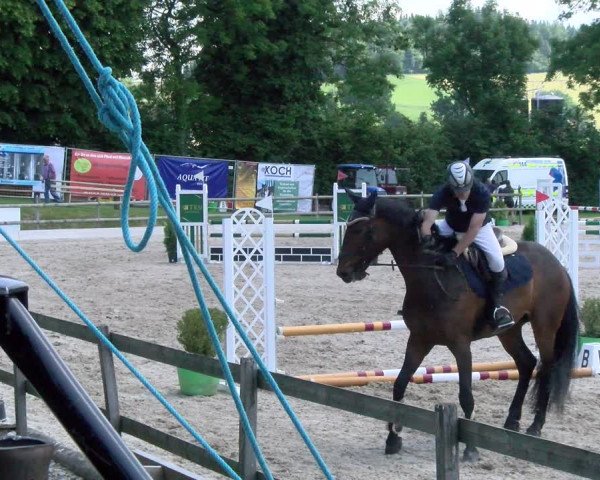 Reitturnier Ruswil 2023