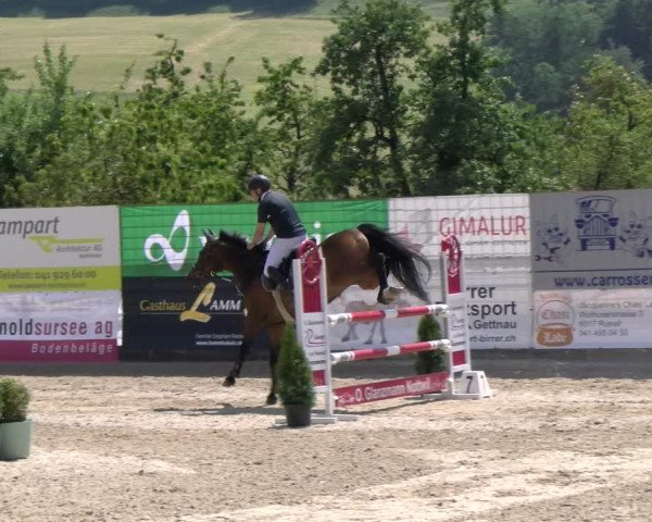 Reitturnier Ruswil 2023