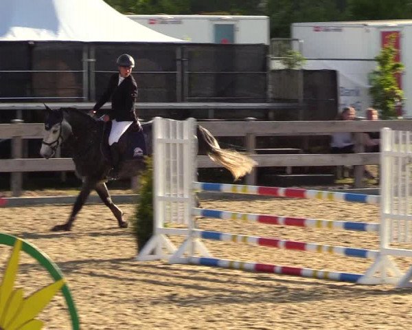 Reitturnier Niebüll 2023