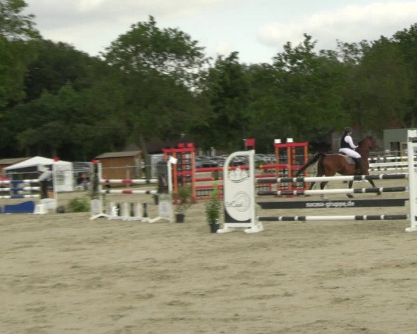 Reitturnier Nienberge Reitanlage Geßmann 2023