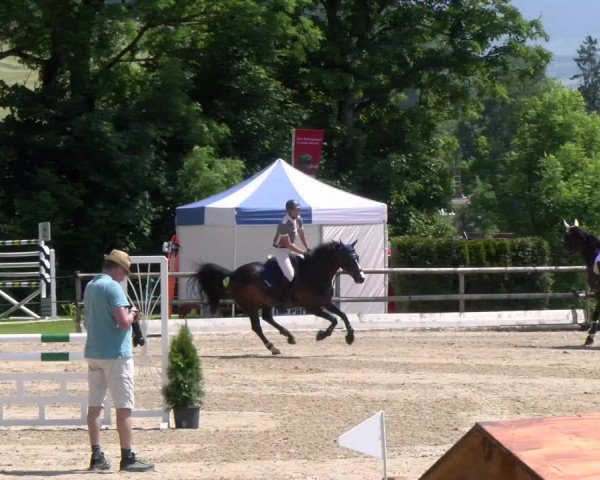 Reitturnier Ruswil 2023
