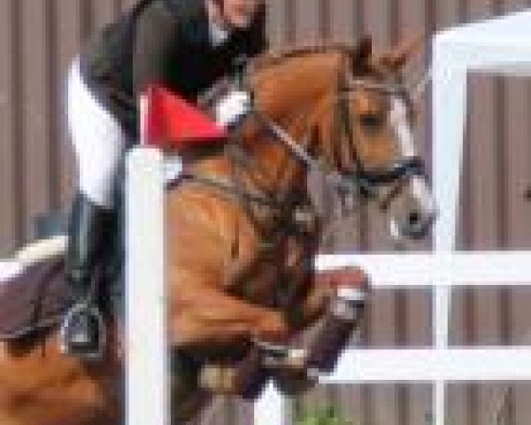 Nantke Driemecker