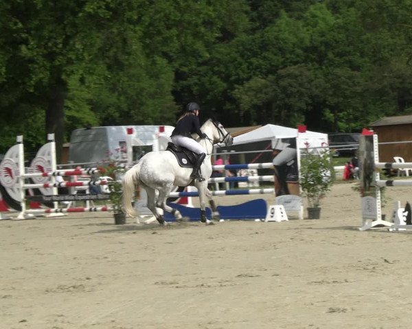 Reitturnier Nienberge Reitanlage Geßmann 2023