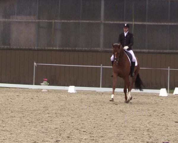 Reitturnier Nienberge Reitanlage Geßmann 2023