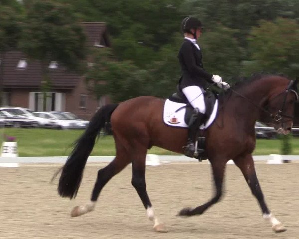 Reitturnier Nienberge Reitanlage Geßmann 2023