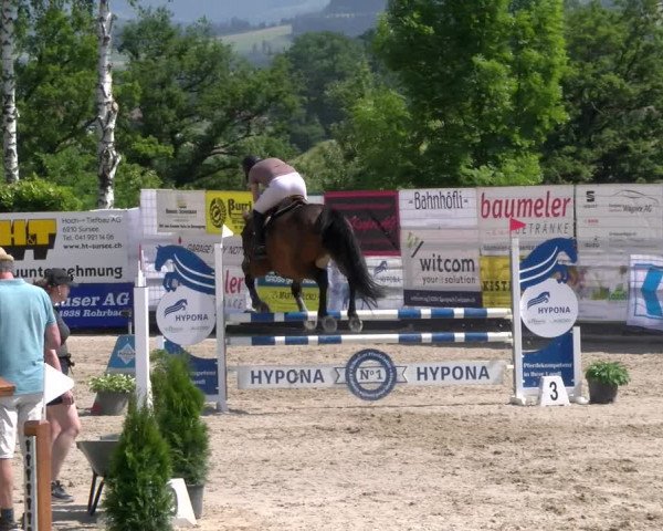 Reitturnier Ruswil 2023