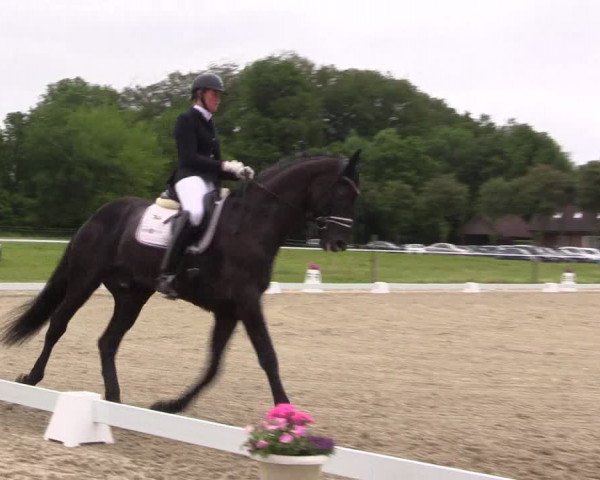 Reitturnier Nienberge Reitanlage Geßmann 2023