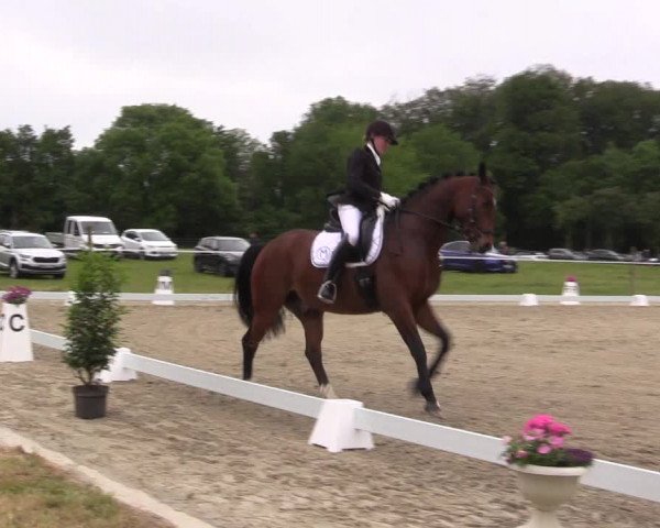 Reitturnier Nienberge Reitanlage Geßmann 2023