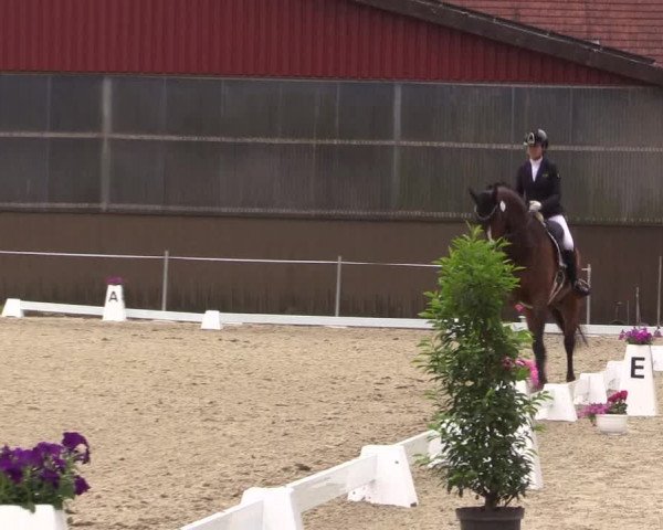Reitturnier Nienberge Reitanlage Geßmann 2023
