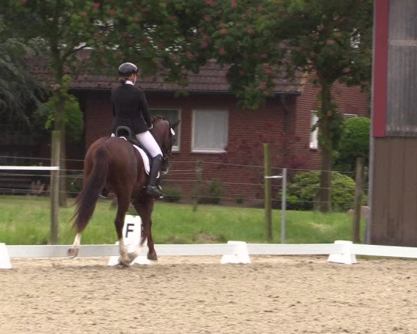 Reitturnier Nienberge Reitanlage Geßmann 2023