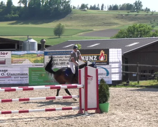 Reitturnier Ruswil 2023