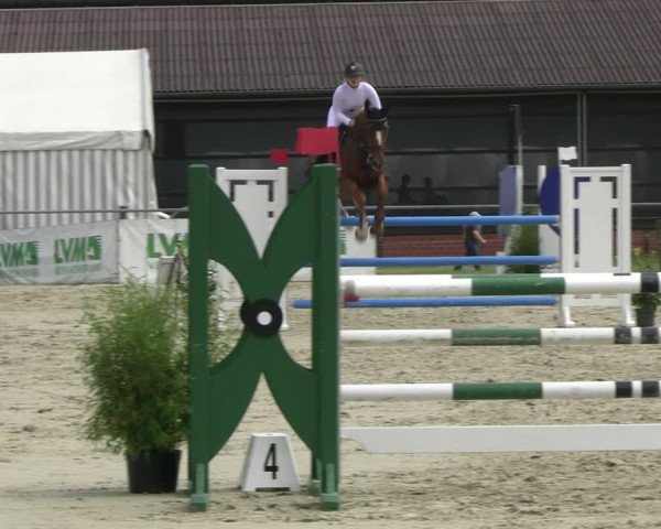 Reitturnier Nienberge Reitanlage Geßmann 2023