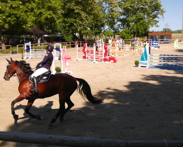 Reitturnier Ruhlsdorf 2023