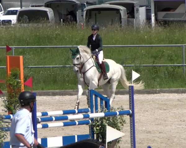 Reitturnier Werdenberg 2023