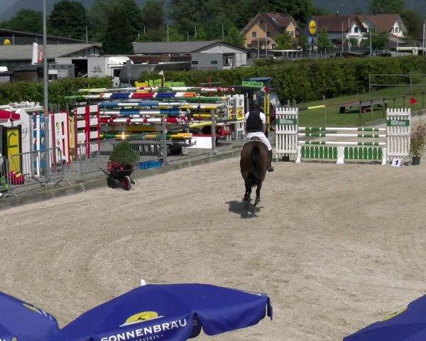 Reitturnier Werdenberg 2023