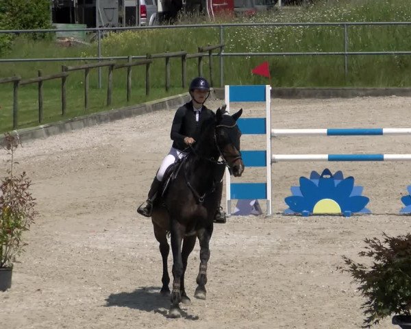 Reitturnier Werdenberg 2023