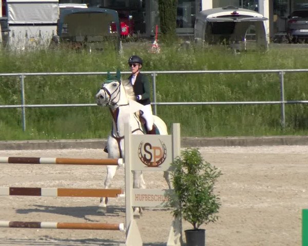Reitturnier Werdenberg 2023