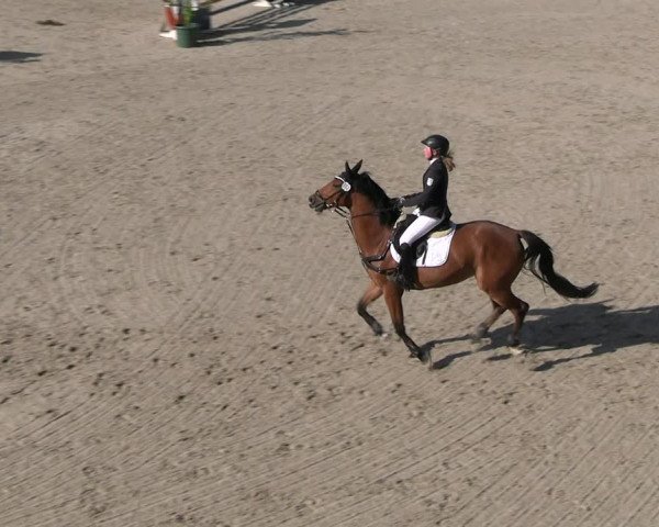 Reitturnier Erkrath - Uhlenhof 2023
