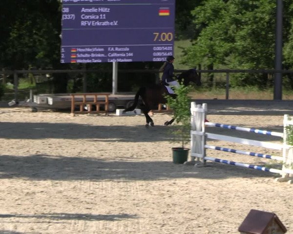 Reitturnier Erkrath - Uhlenhof 2023