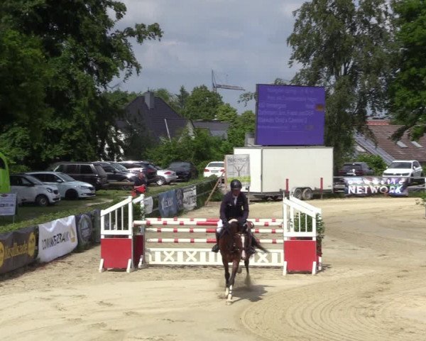 Reitturnier Letmathe 2023