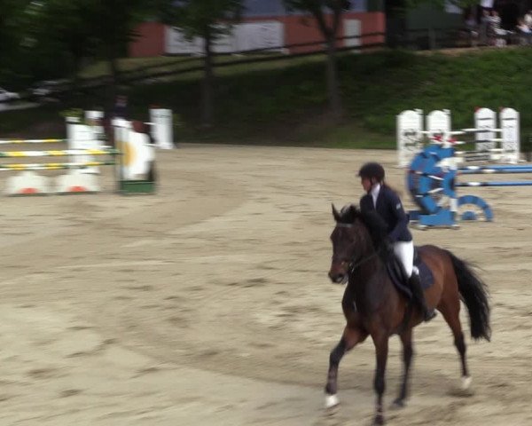 Reitturnier Letmathe 2023