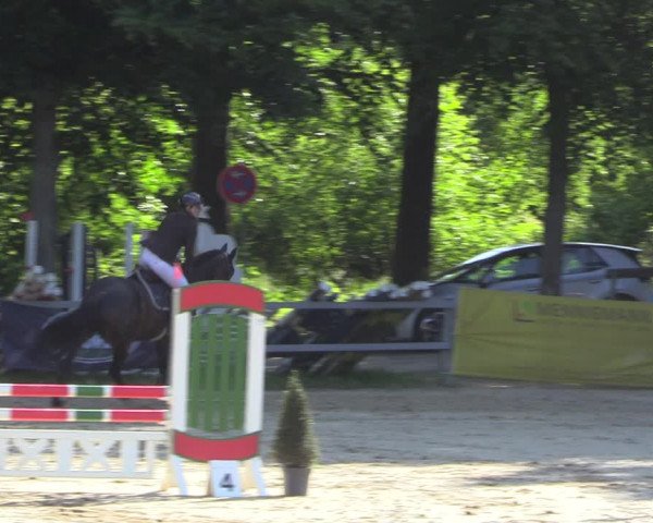 Reitturnier Letmathe 2023