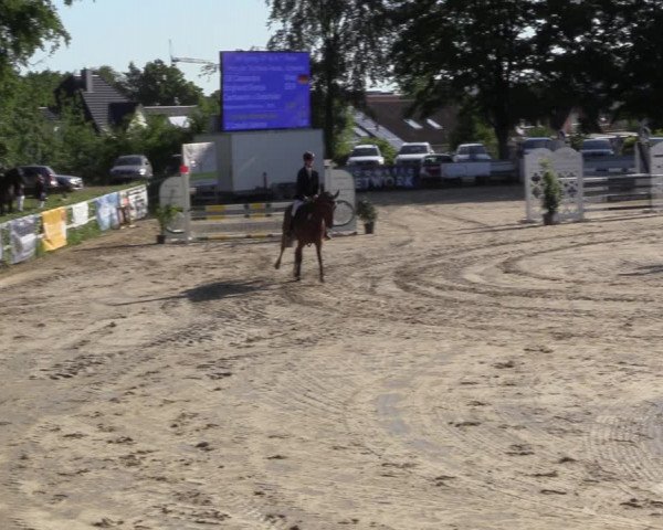 Reitturnier Letmathe 2023