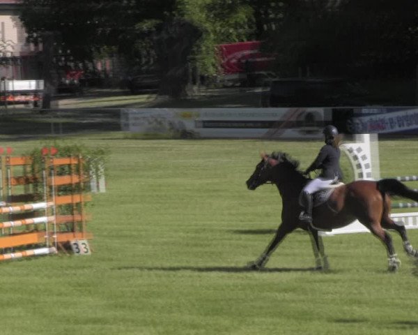 Reitturnier Königsborn 2023