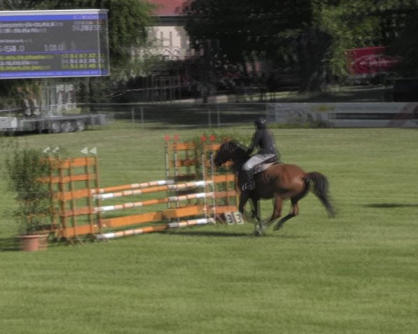 Reitturnier Königsborn 2023